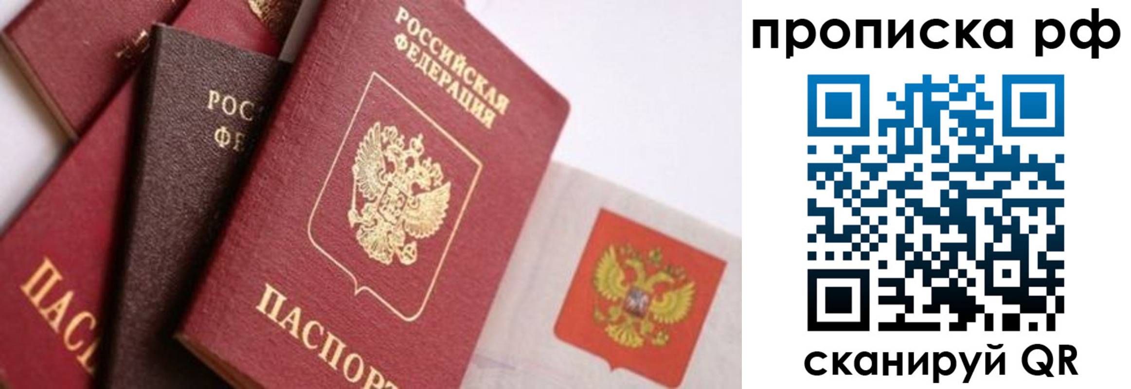 найти адрес прописки в Похвистнево