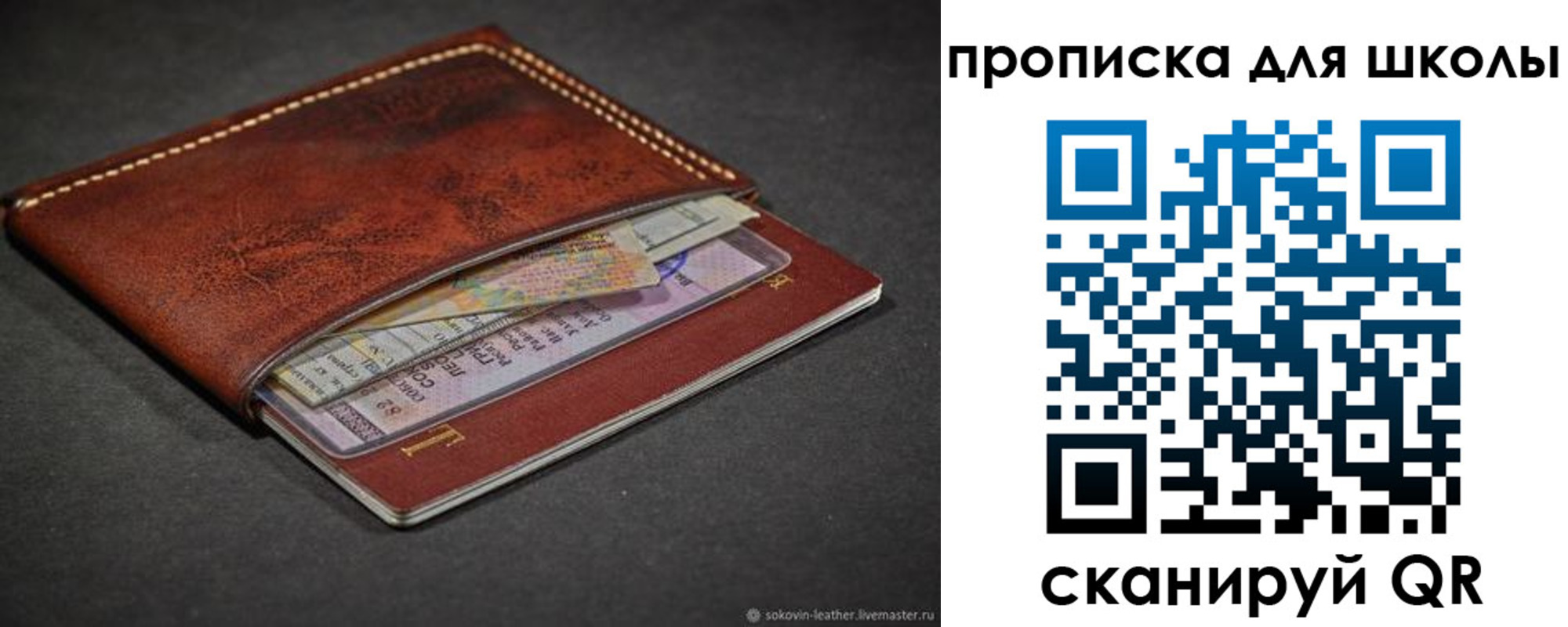 прописка для школы в Похвистнево